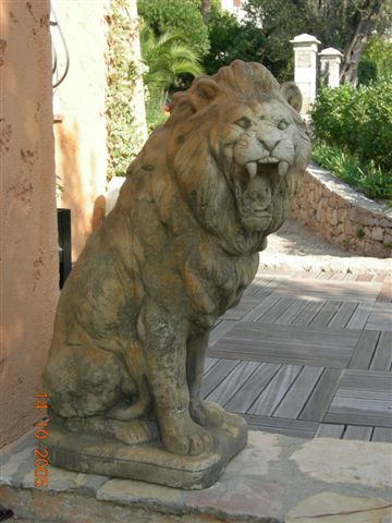 lion rugissant