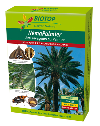 NEMAPALMIER-50M-3D_Biotop