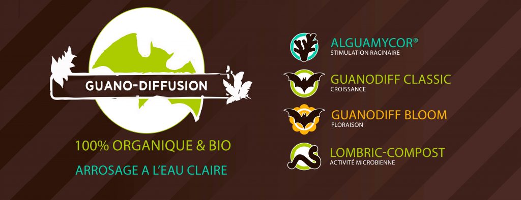 guano-diffusion